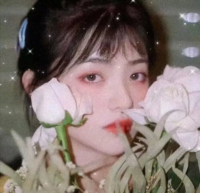雨族